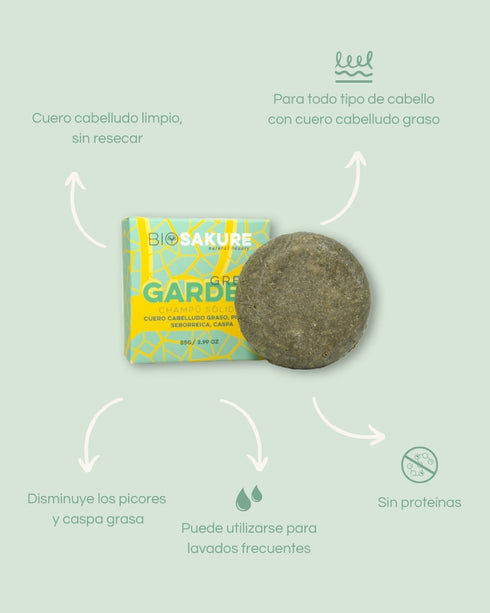 pack champú sólidos cuero cabelludo seco, normal y graso